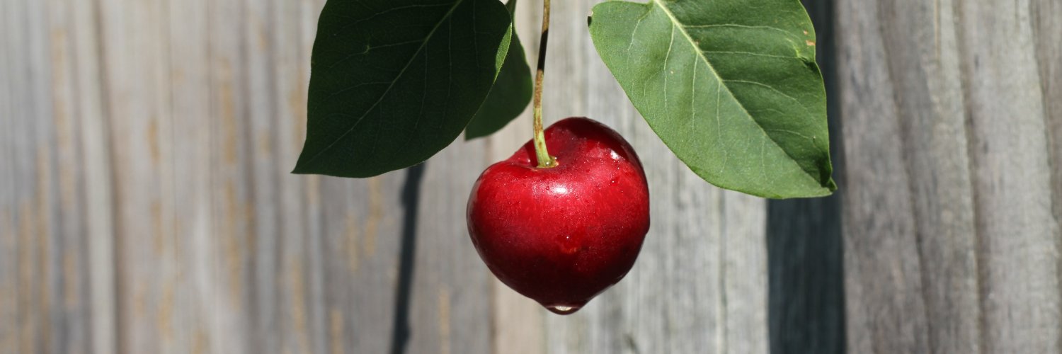 Not Far From The Tree banner