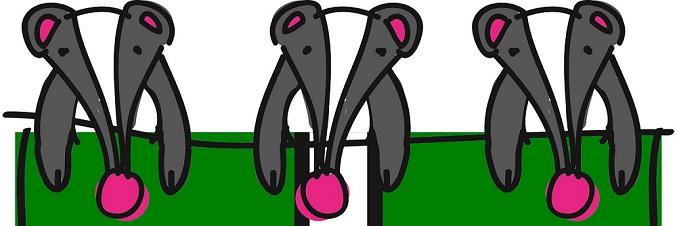 DevonBadgers's profile banner image