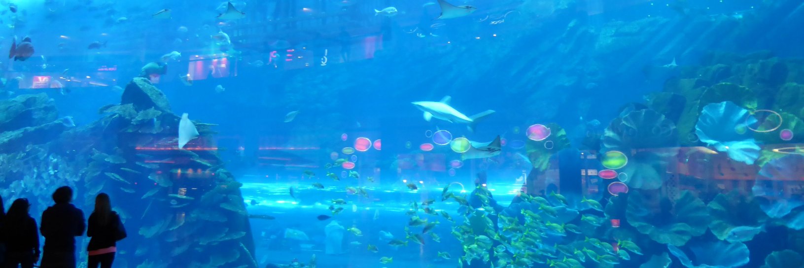 cesaespace's profile banner image