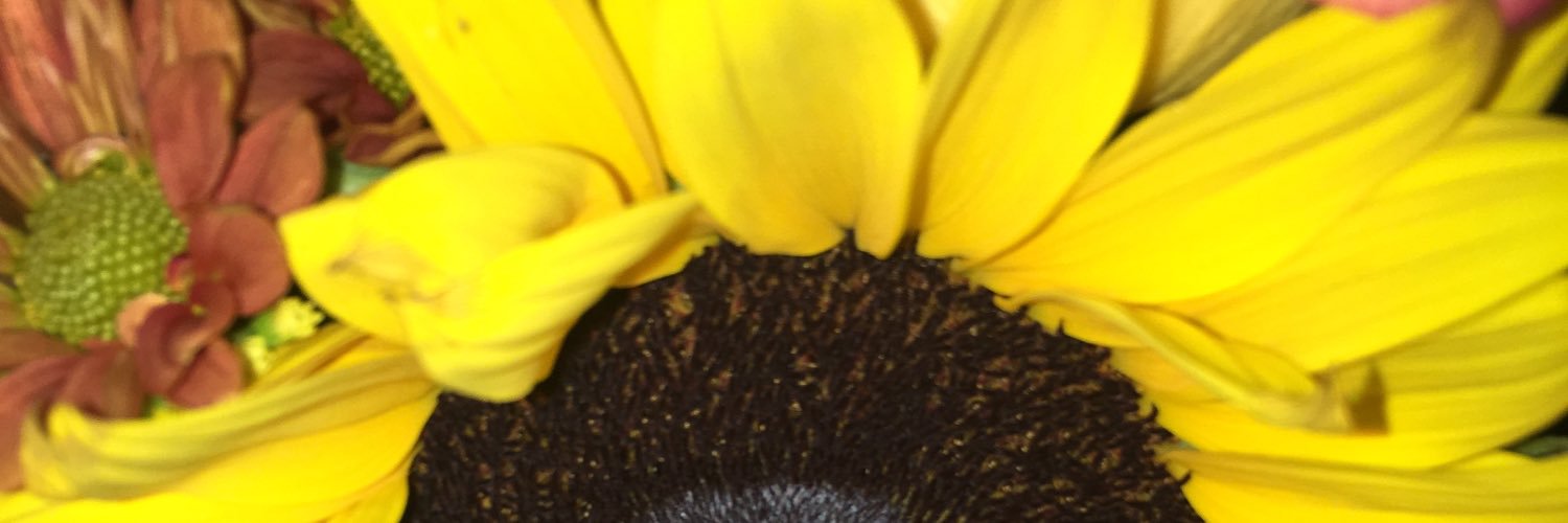 KandiCoated_'s profile banner image