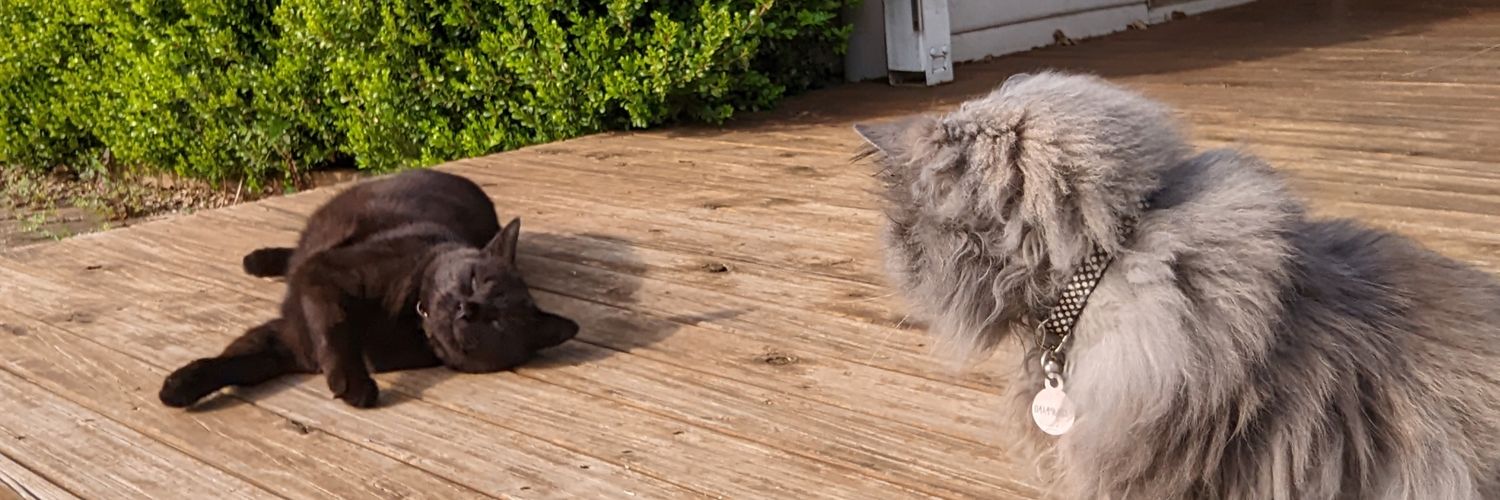 Hic Nealey 🎙️🥃 banner