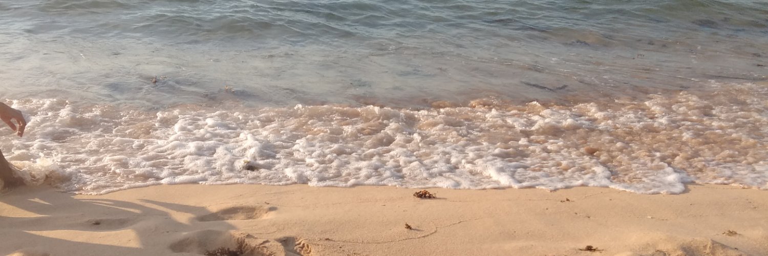 monespeso's profile banner image