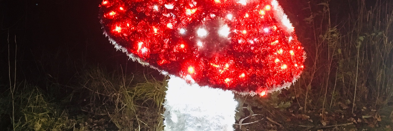 HajekBarbara's profile banner image
