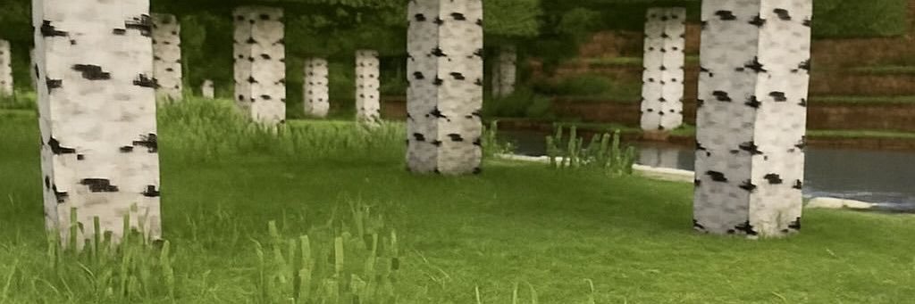 _T0oa's profile banner image
