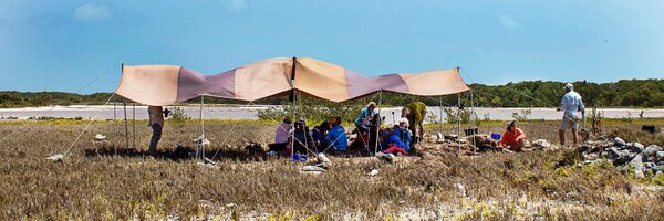 ArqueologiaUSB Profile Banner