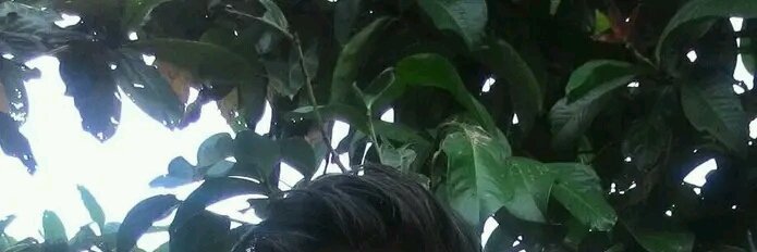 RamotHalomoan's profile banner image