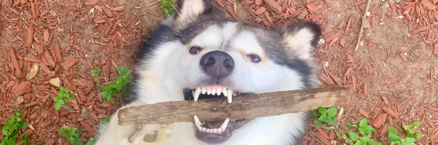 meliiim_'s profile banner image