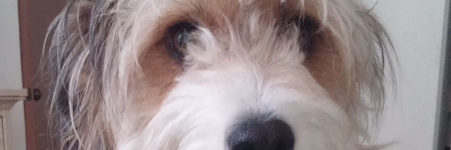 DrJosePablo's profile banner image