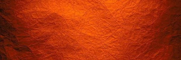 putin_pandit Profile Banner