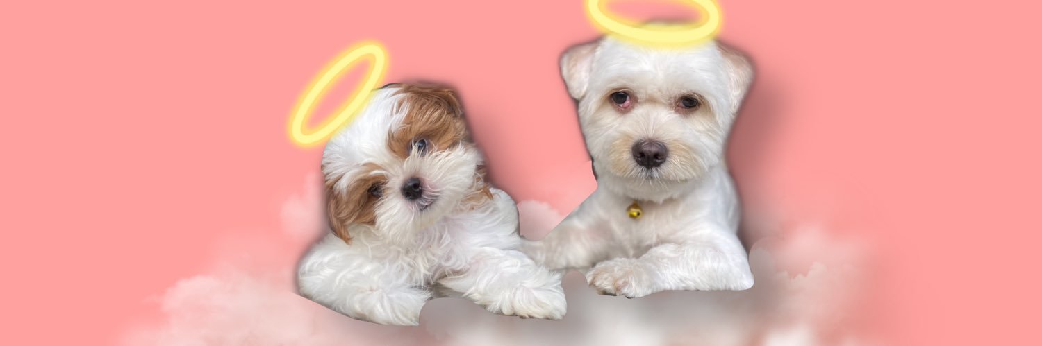 Julialmighty's profile banner image