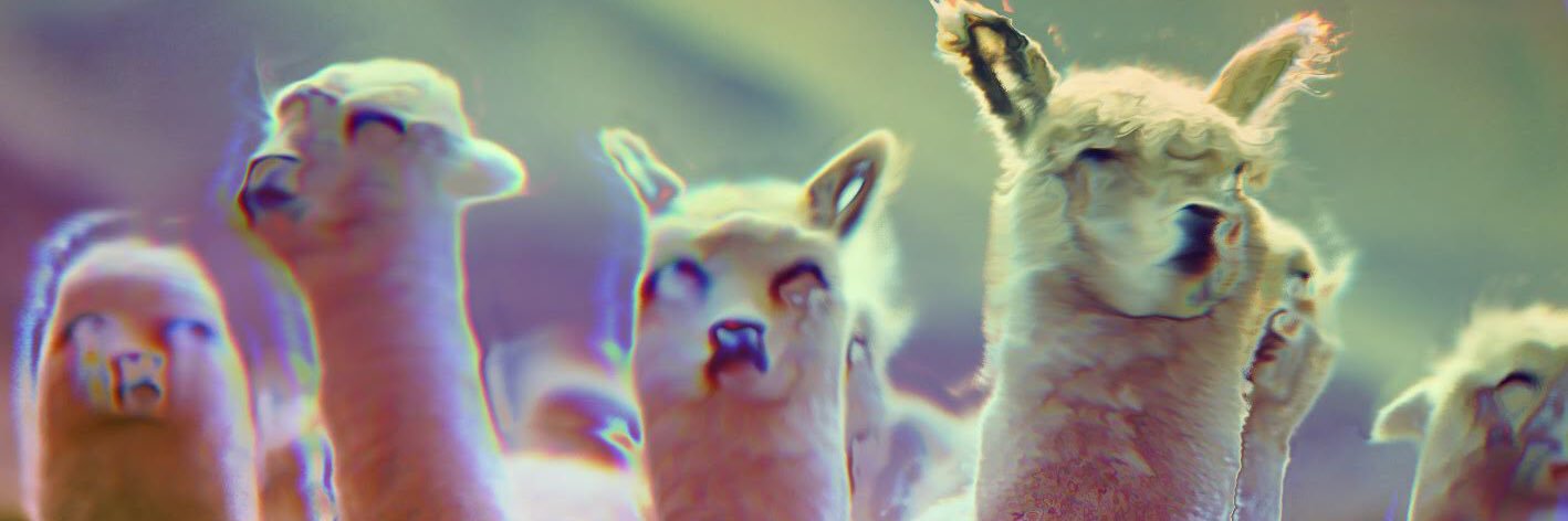 Trippy Lama Club 🦙 banner