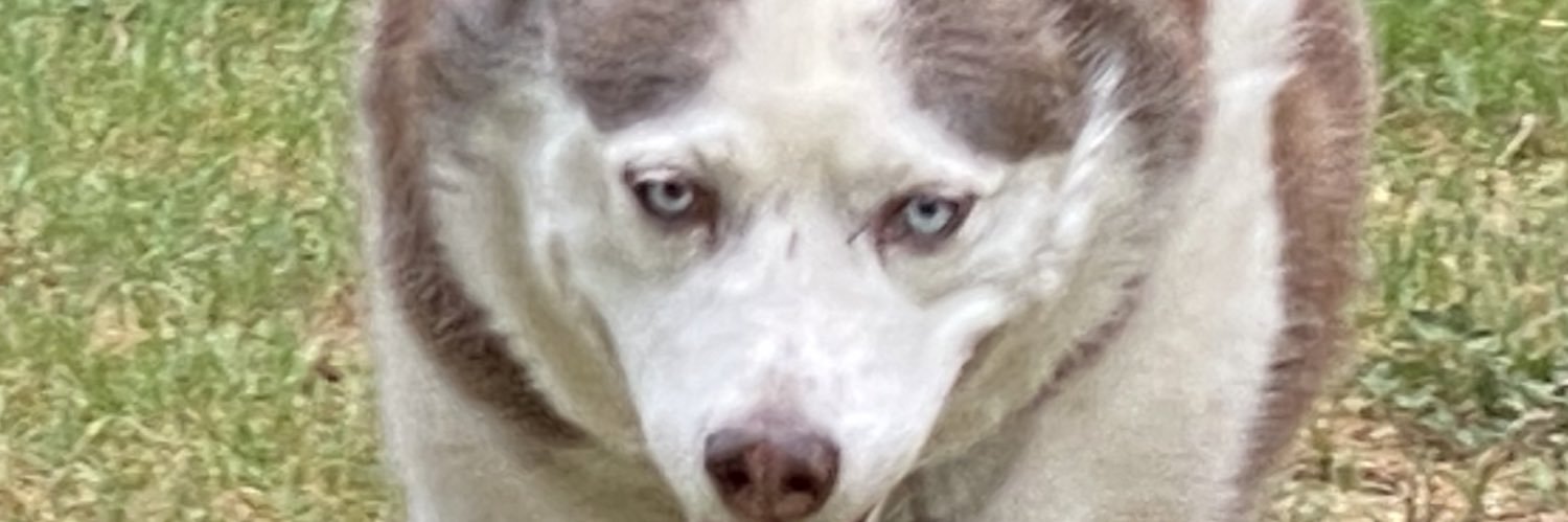 pmsmedic's profile banner image
