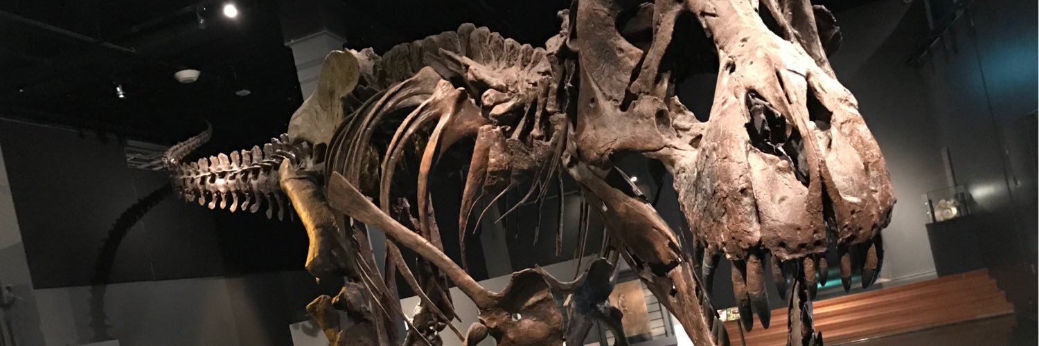 bjornario's profile banner image