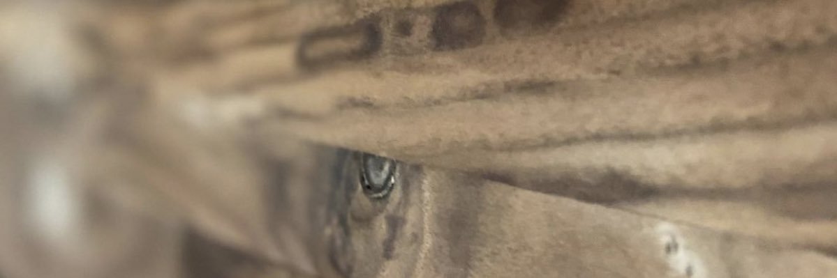 _CoastalCustoms's profile banner image