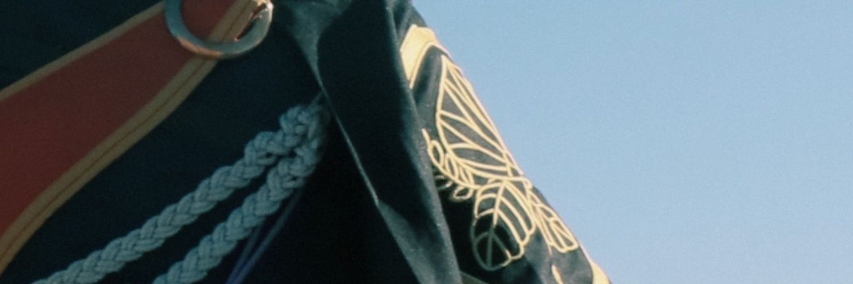 る( ꕹ ) banner