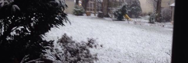 Xavier Granja banner