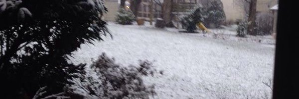 xgranja Profile Banner