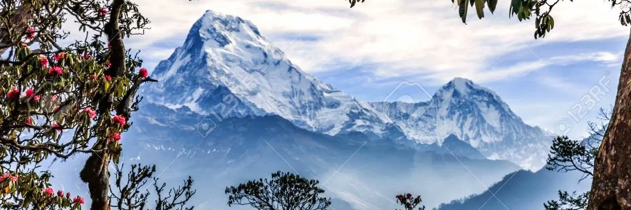 🌏TDSX131419 banner
