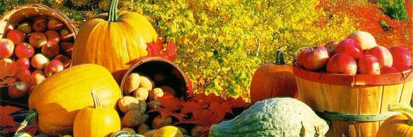 Chrispy0515 Profile Banner