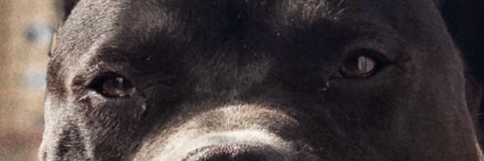 ethhan23's profile banner image