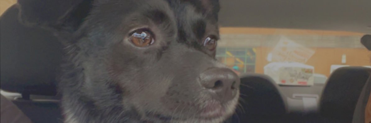 mynameis_jay's profile banner image