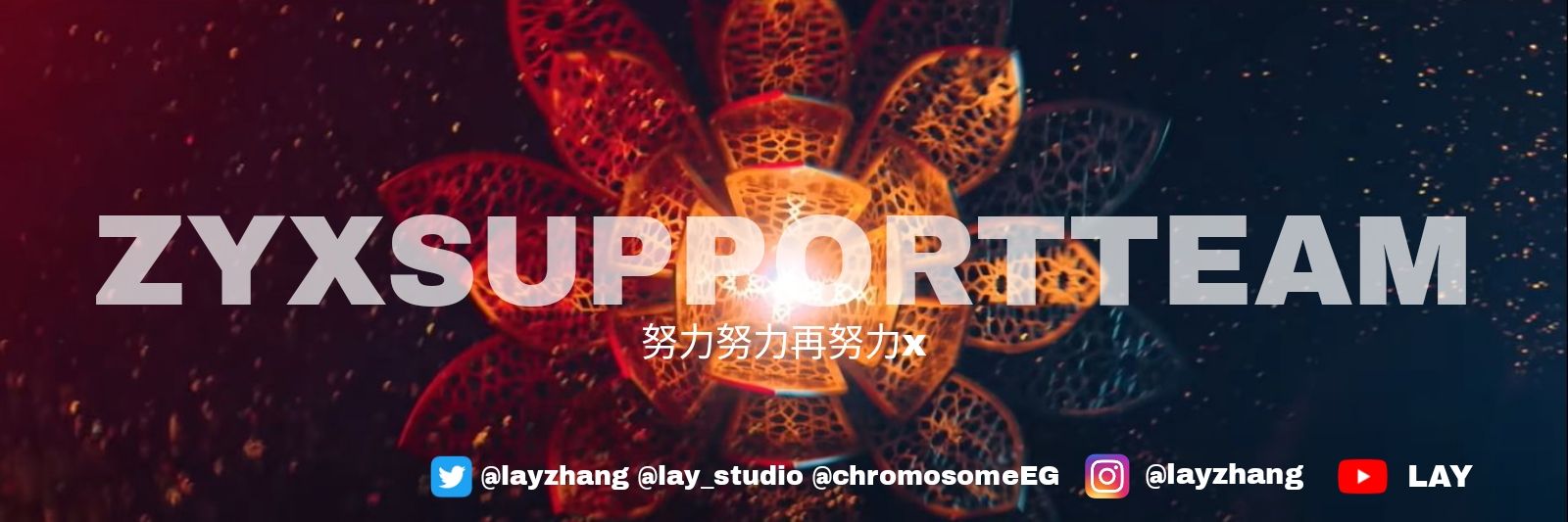 ZYXSupport banner