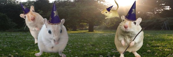 anxzst Profile Banner