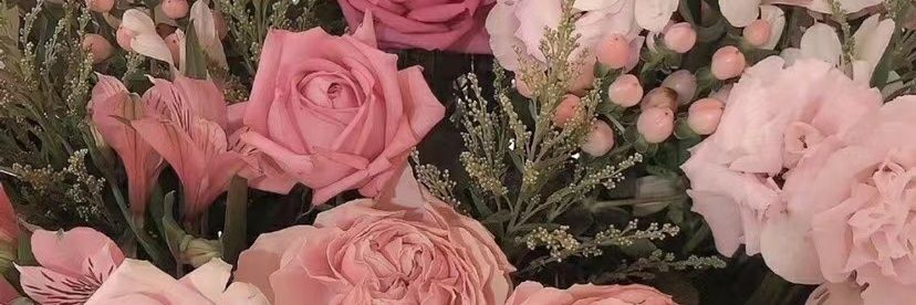 nona banner