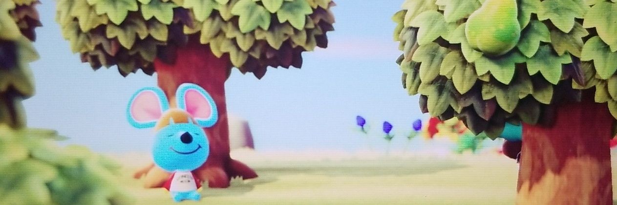 shyshrub's profile banner image