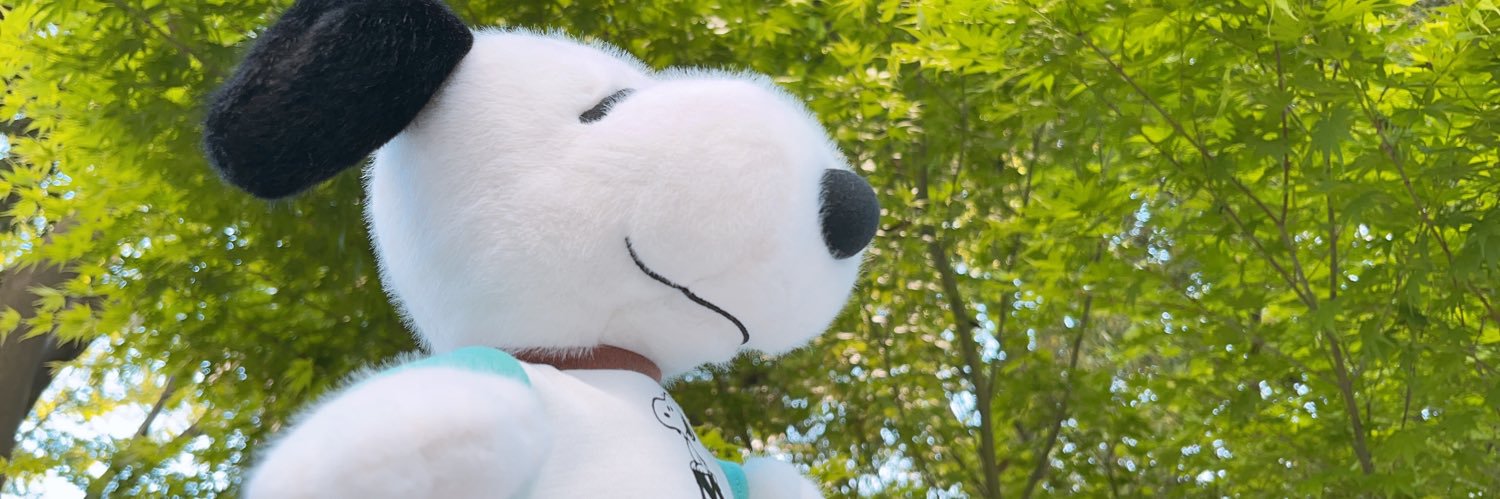 むねこ banner