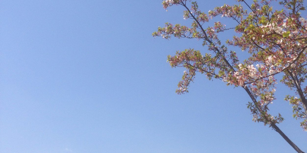 shunta078's profile banner image