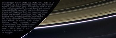 VaniaFlaccomio's profile banner image