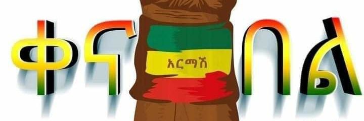 haytnse1's profile banner image
