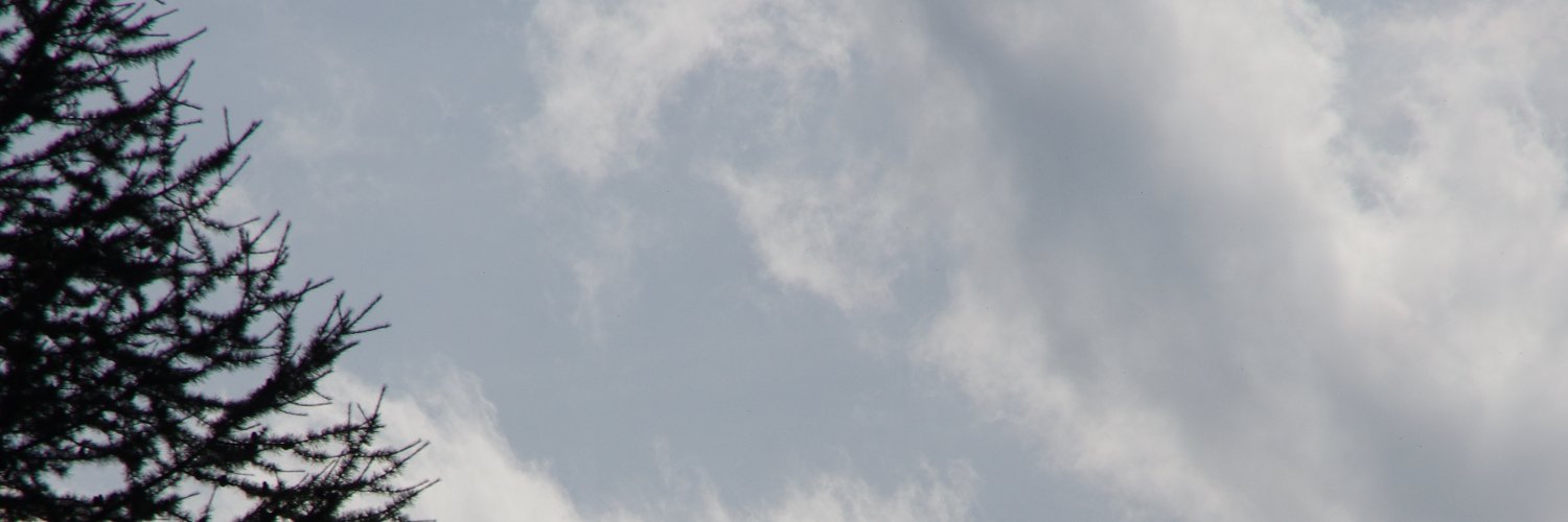 lemonpiecl's profile banner image