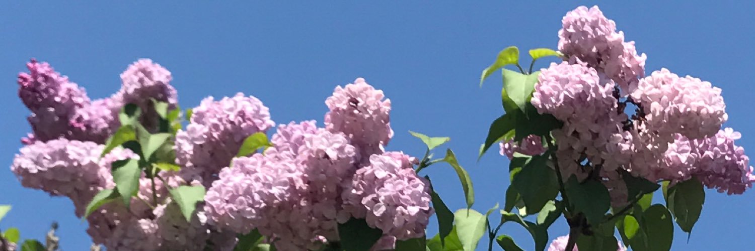 3811Win's profile banner image