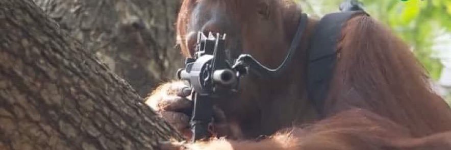 Apex Redditor banner