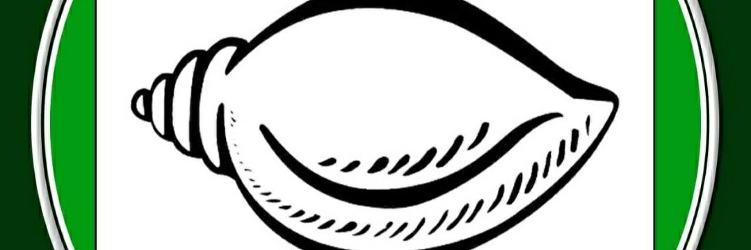 Naveenodisha5's profile banner image
