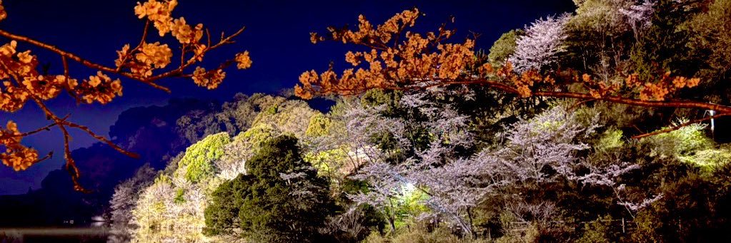 Cervical_7's profile banner image