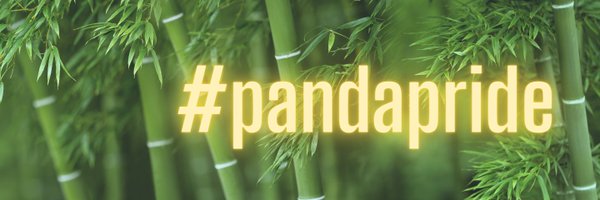 FSD Acacia Pandas Profile Banner