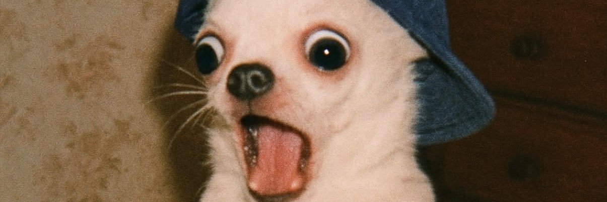 Patcha635 banner