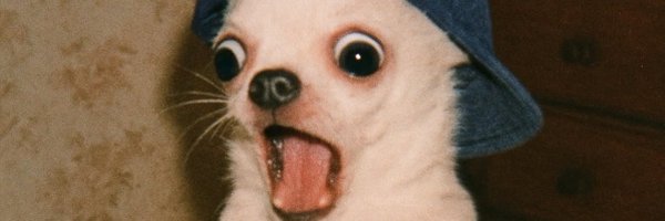 patcha911 Profile Banner