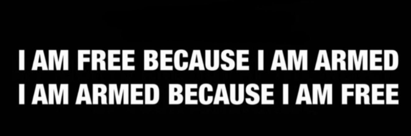 PRO 2 AMENDMENT banner