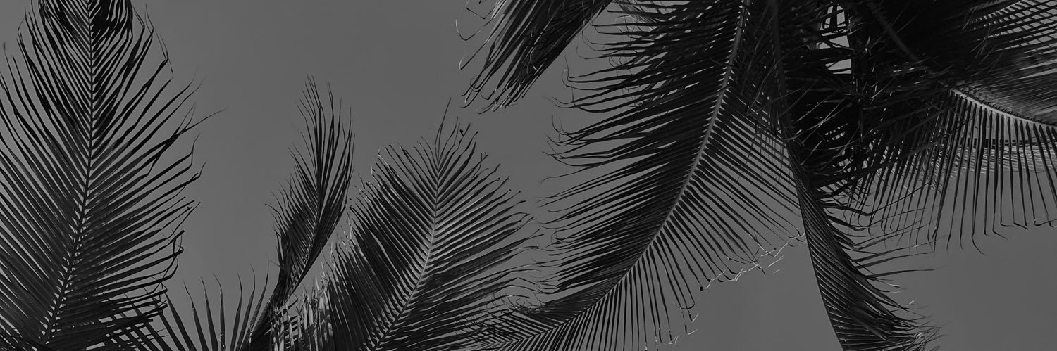 Color avellana 🌰 banner