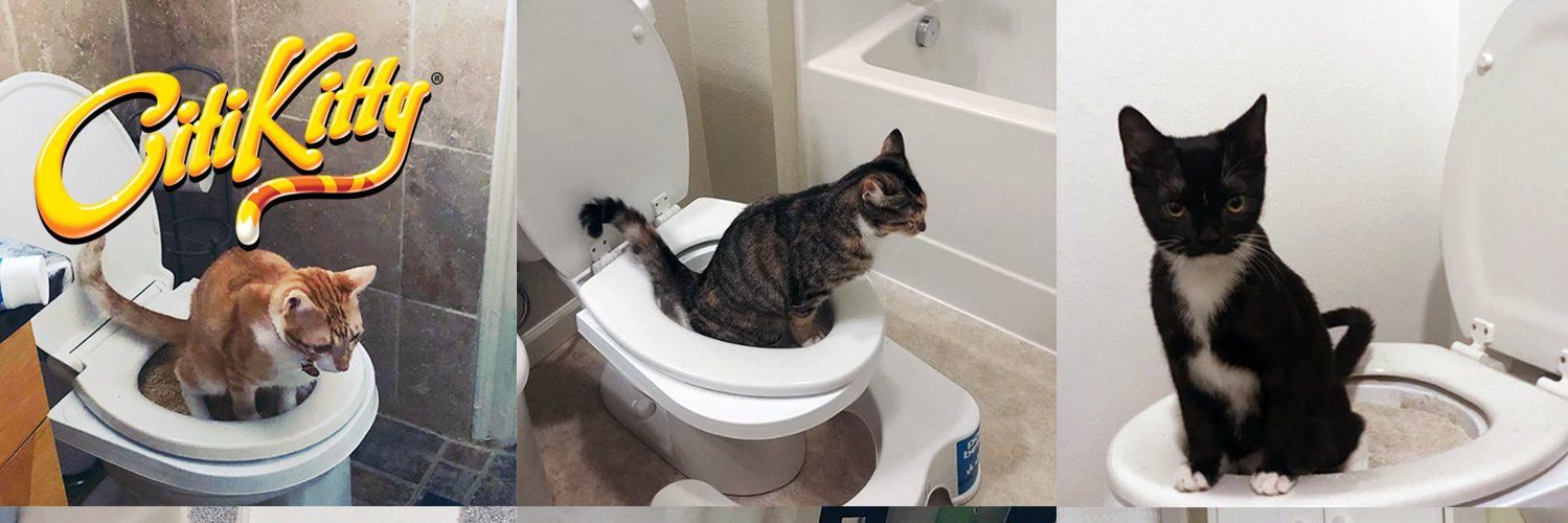 CitiKitty's profile banner image