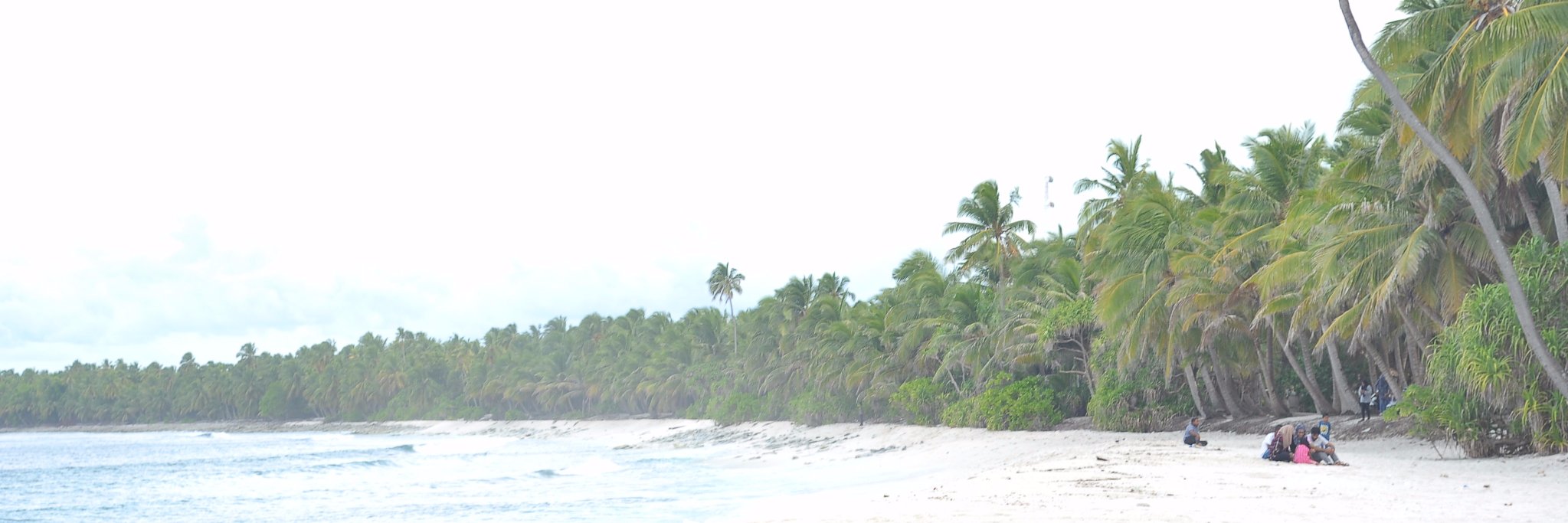 Sippay's profile banner image