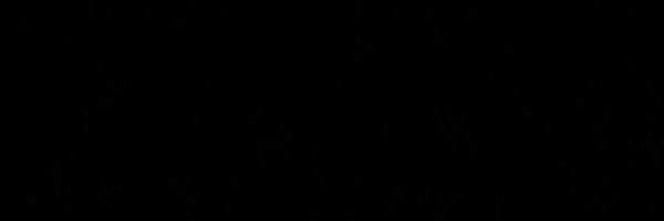 larkin_meyer Profile Banner