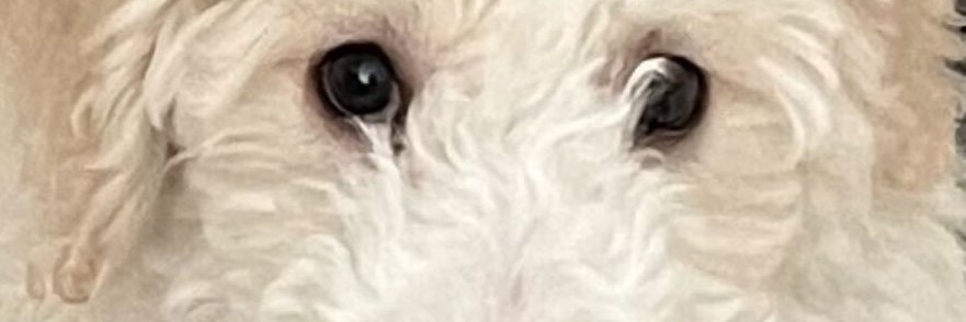 calebfrieze's profile banner image