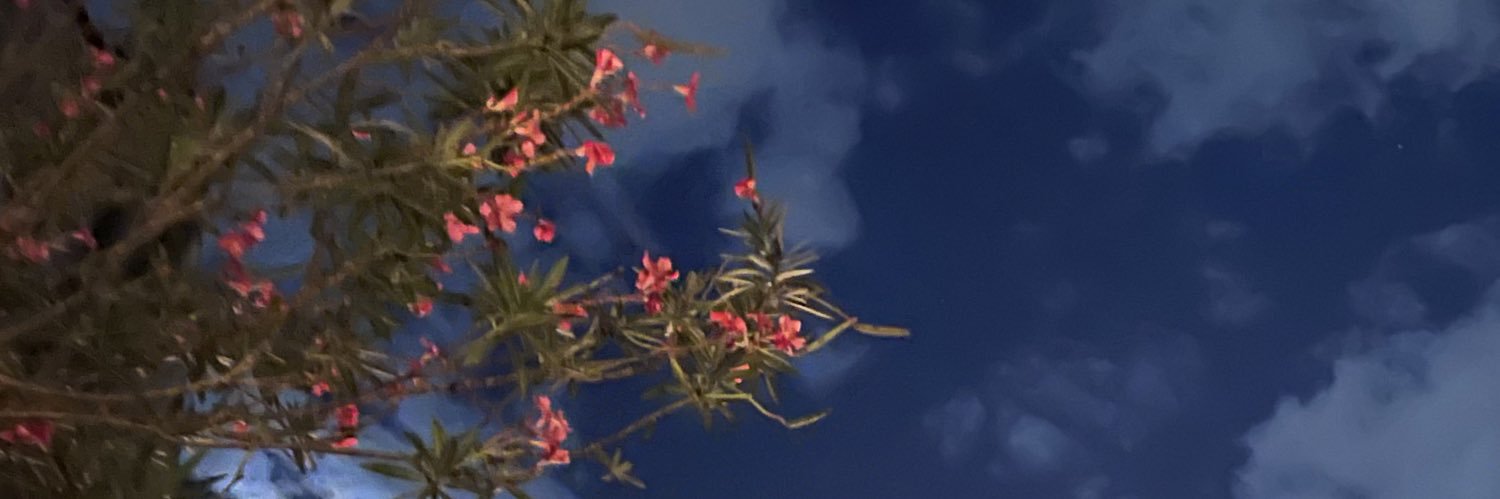 dazedhazy's profile banner image