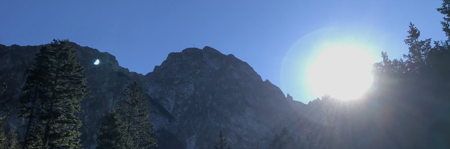 Fiona Goldsworthy banner