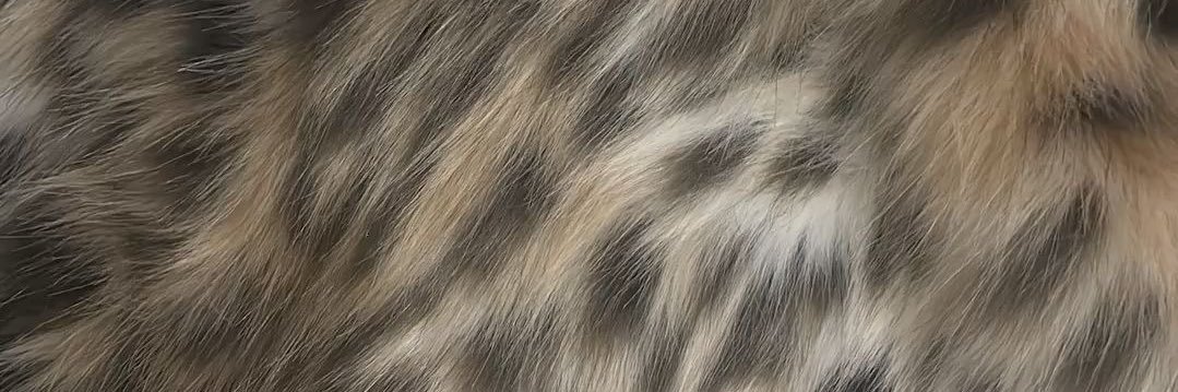 sherry_666's profile banner image